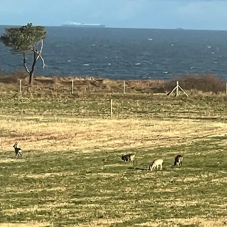 아파트 Ostseewelle 드란스케