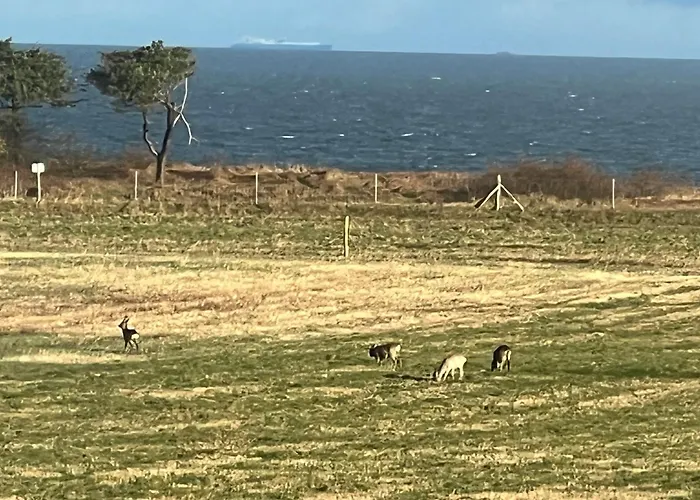 Apartamento Ostseewelle Dranske